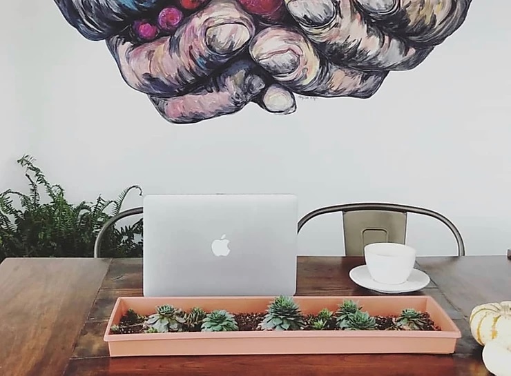 7 Creative Buffalo Instagram Accounts to Copy & What They’re Doing Well