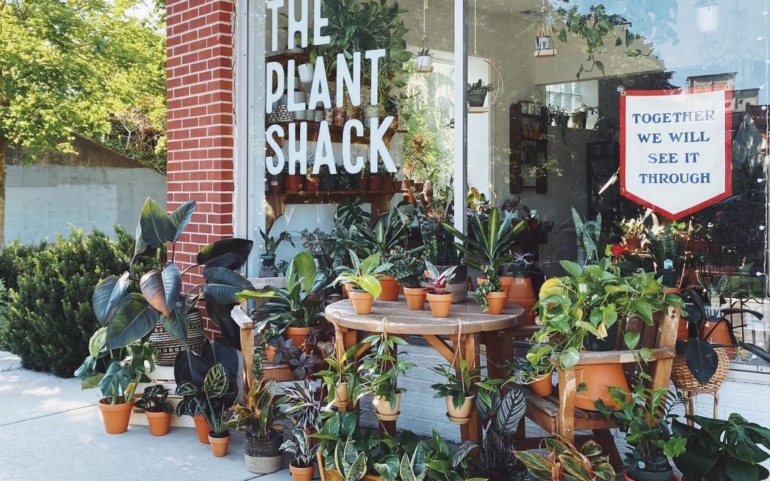8 Business Tips from Rachel Stepien Of The Plant Shack