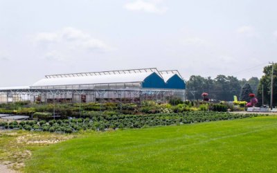 Case Study: How Waterman’s Greenhouse Reached A New Demographic & Increased Their Foot Traffic