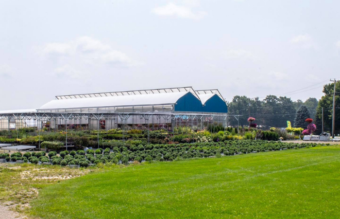 Case Study: How Waterman’s Greenhouse Reached A New Demographic & Increased Their Foot Traffic